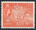 Aden 49a mlh