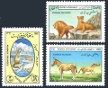 Afghanistan 1020-1022