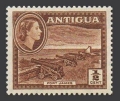 Antigua 107