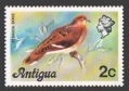 Antigua 407