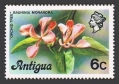Antigua 411
