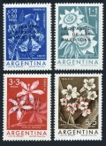 Argentina B31-B34
