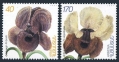 Armenia 562-563
