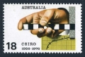Australia 636