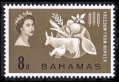 Bahamas 180 mlh