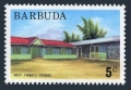 Barbuda 175