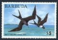 Barbuda 186