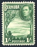 Bermuda 122 mlh