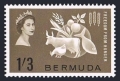 Bermuda 192