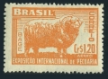 Brazil C72 mlh