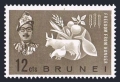 Brunei 100