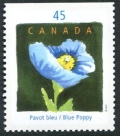 Canada 1638