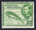 Cayman 101 mlh