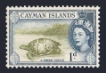 Cayman 137