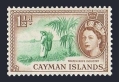 Cayman 138