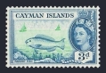 Cayman 141