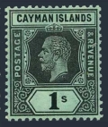 Cayman 40