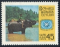 Ceylon 409mlh