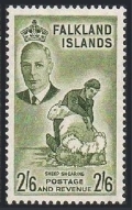 Falkland Islands 117