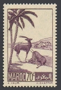 French Morocco 161