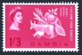 Gambia 172
