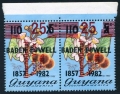 Guyana 1347 Boden Powell pair