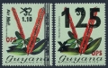 Guyana O11-O12