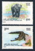 India 1135-1136