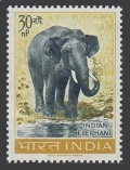 India  364 mlh