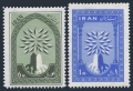 Iran 1154-1155 mlh
