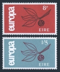 Ireland 204-205