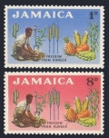 Jamaica 201-202 mlh