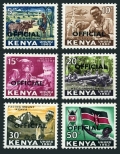 Kenya O1-O6 mlh
