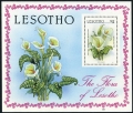 Lesotho 591