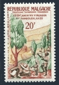 Malagasy 316