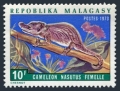 Malagasy 491