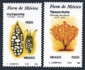Mexico 1577-1578