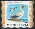 Montserrat 231