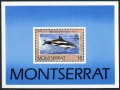 Montserrat 753-756, 757