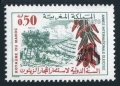 Morocco 238