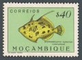 Mozambique 337