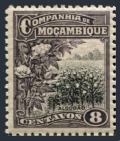 Mozambique Company 125