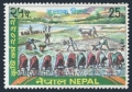 Nepal 313