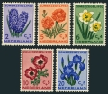 Netherlands B249-B253