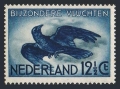 Netherlands C11 mlh