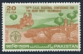 Pakistan 296