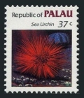 Palau 17