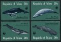 Palau 24-27