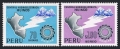 Peru 502, C205