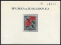 Salvador 718, C192